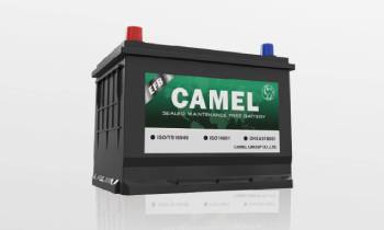 Camel Battery